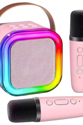 Música y Karaoke Set x 2 Microfonos Inalámbricos + Parlante Bluetooth